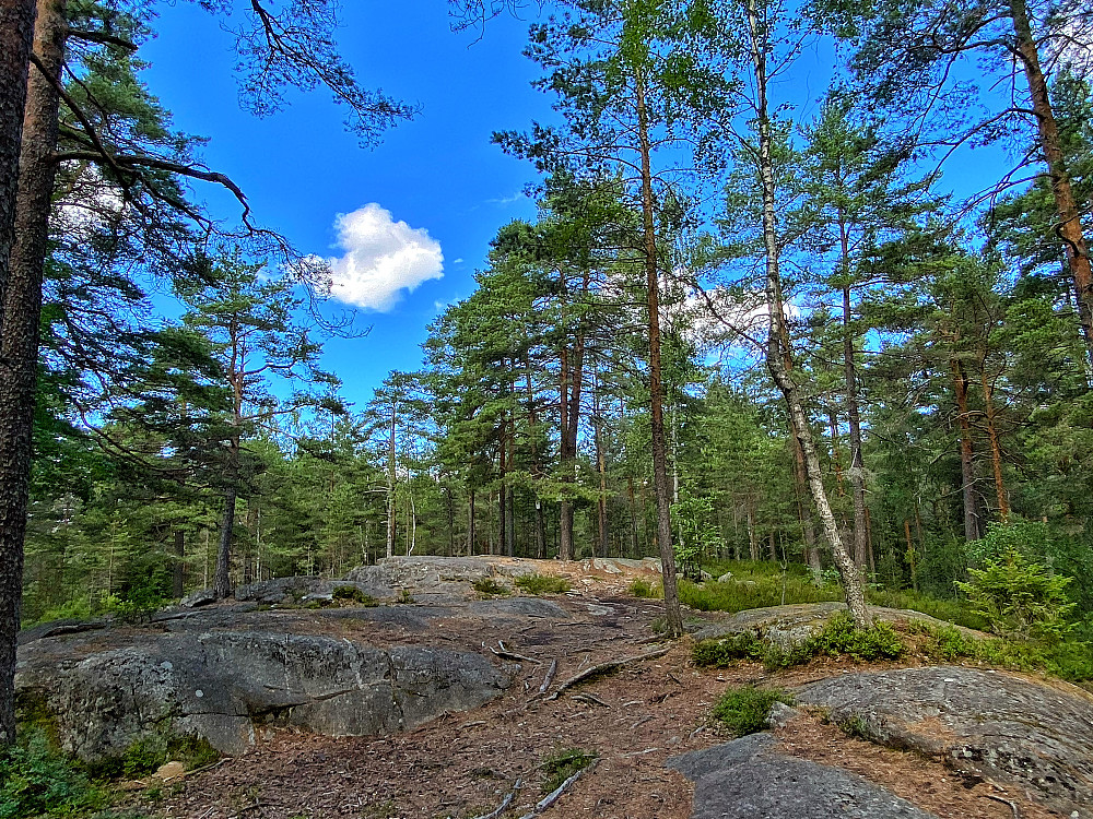 Ulsrudåsen