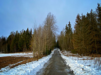 OleR_20250119_678d0f983202c.jpg