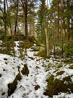 OleR_20250119_678d0faf0e48f.jpg