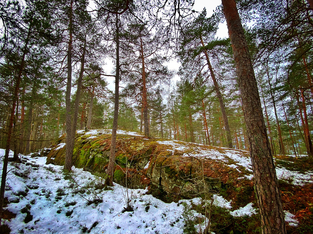Mastemyrås