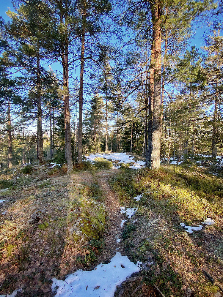 Buåsen