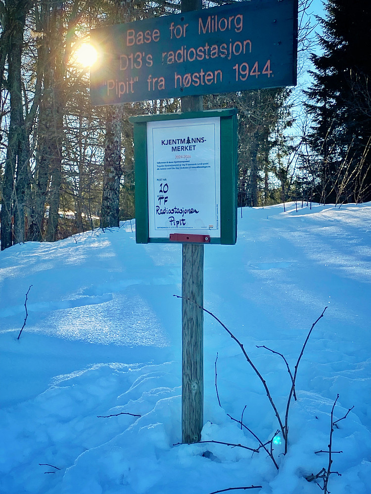 Radiostajonen Pipit