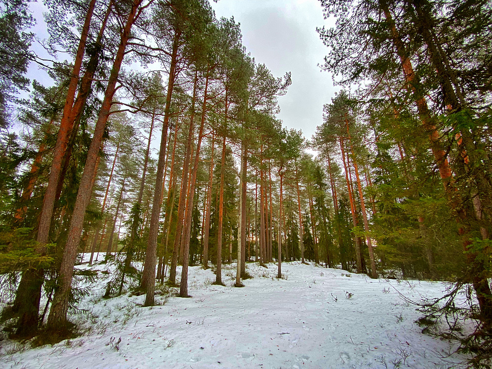 Rekselåsen