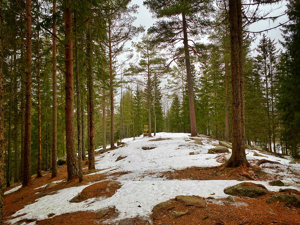 Luseåsen