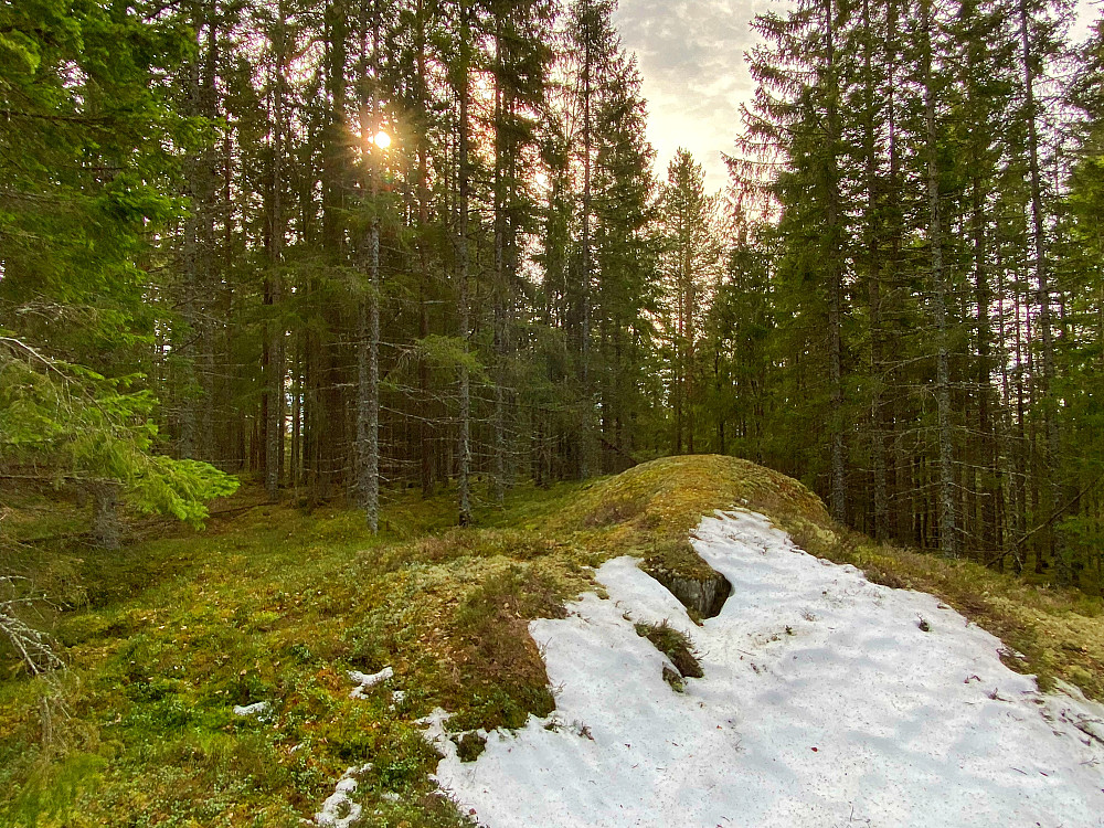 Endtjernslia