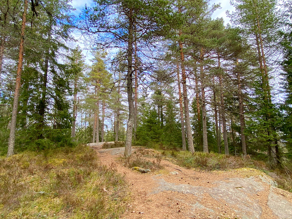 Skysethøgda