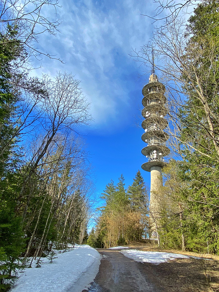 Røverkollen