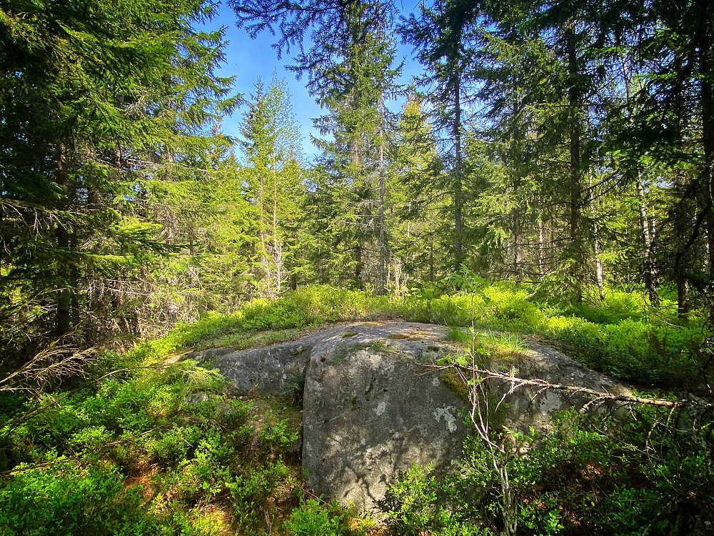 Vaggesteinåsen