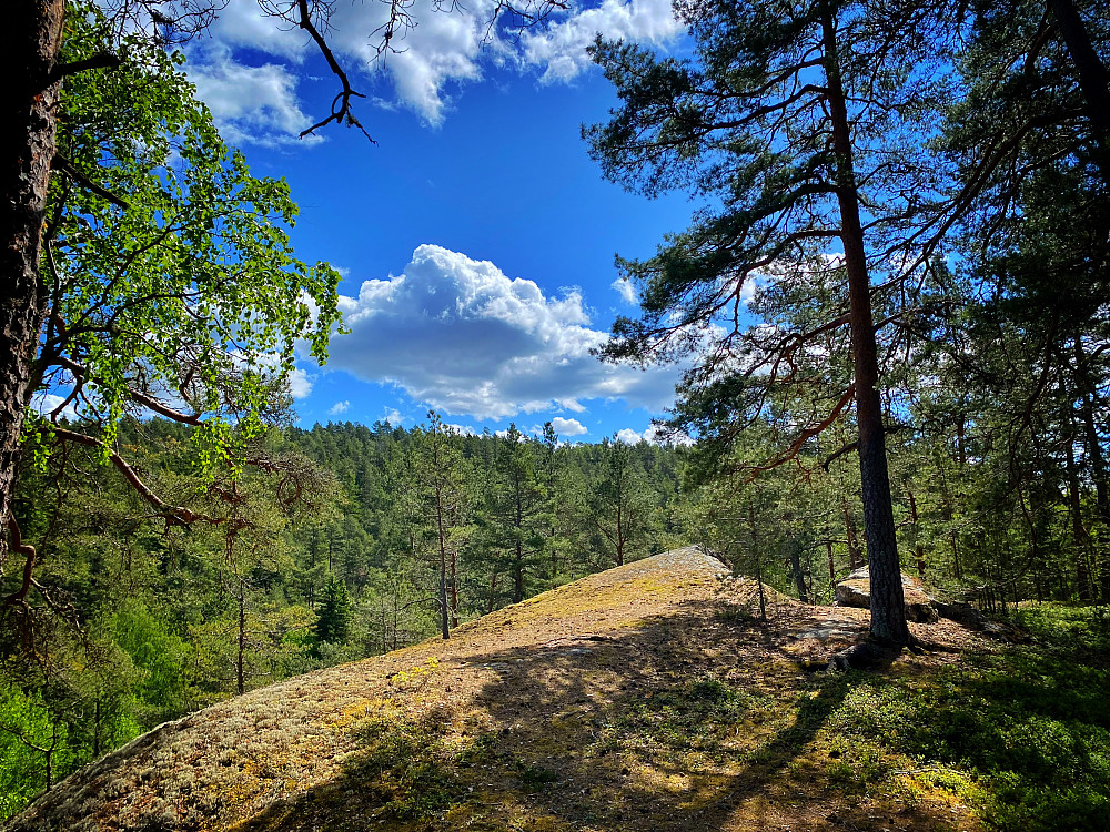 Midtåsen