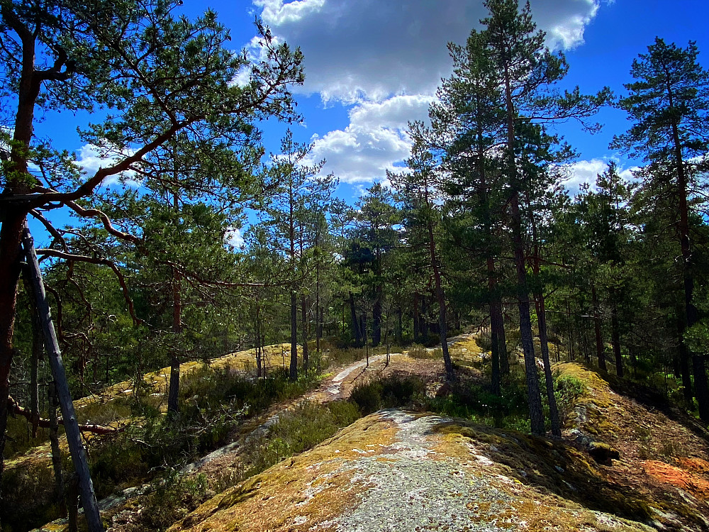 Dalsåsen