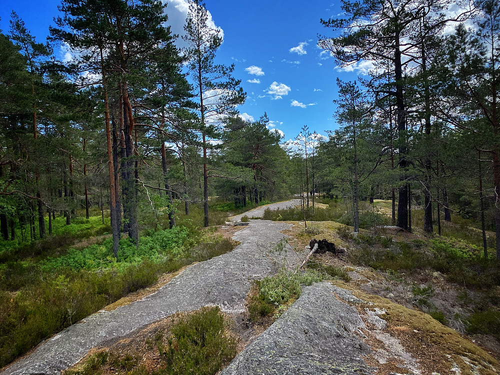 Passerudåsen