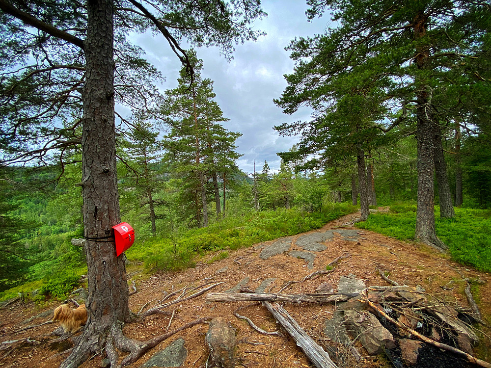 Ringiåsen turpostkasse