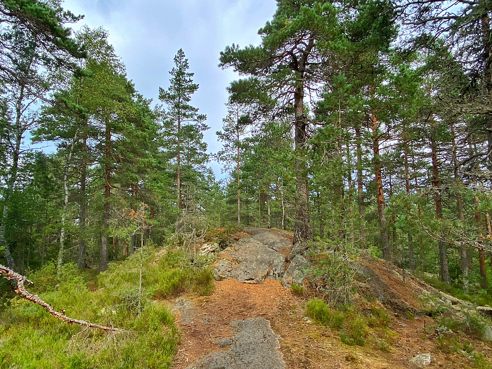 Sør for Stormyr