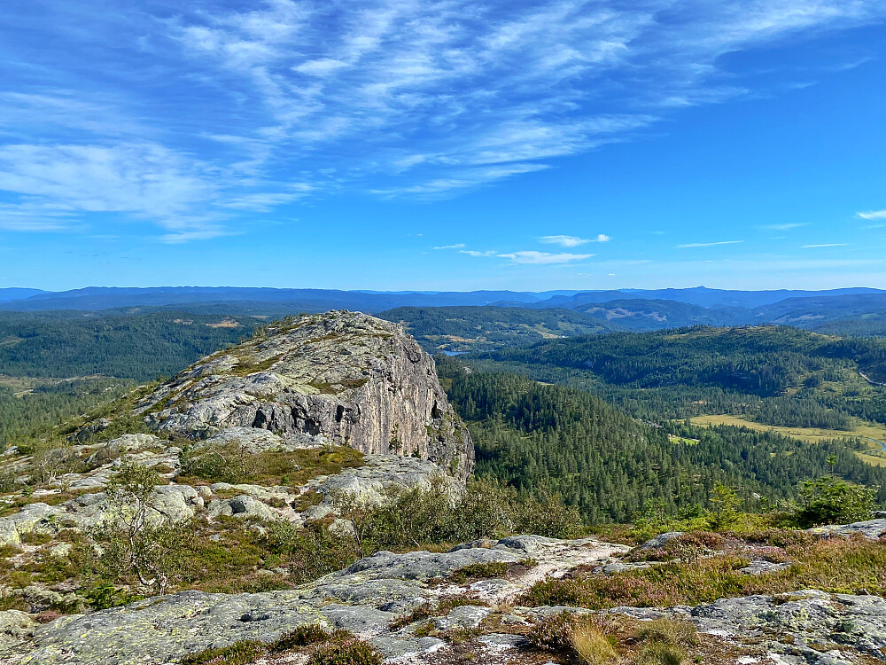 Tekslehogget mot sør