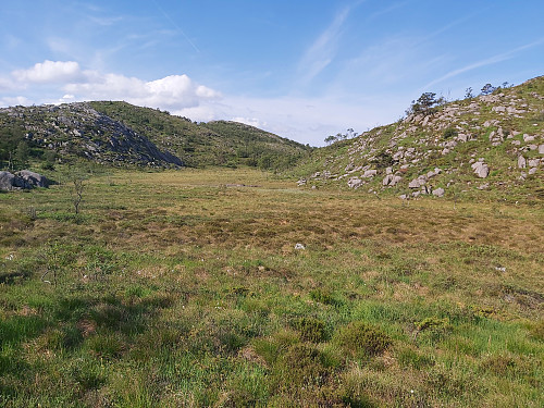 På vei til Bjørndalsfjellet