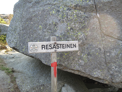 Resasteinen