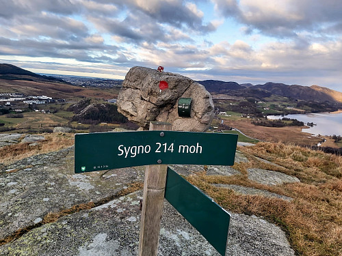 Sygno