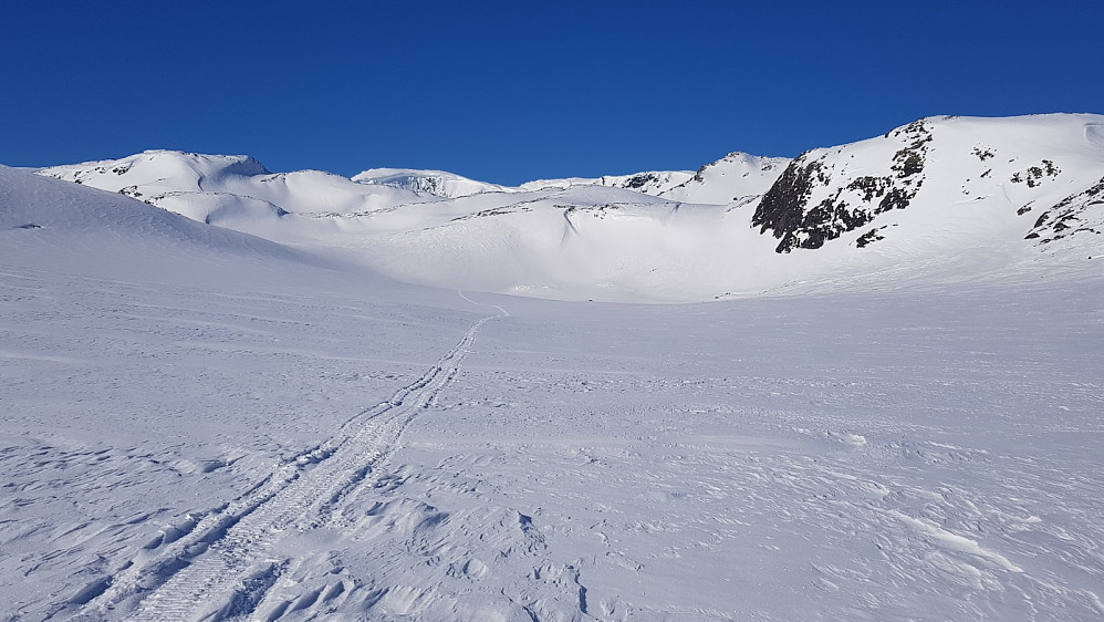 Mot innst i Vetle Frostdalen. Berdalseken er der bak. Men vi gikk inn til høgre for fjellet til høgre.