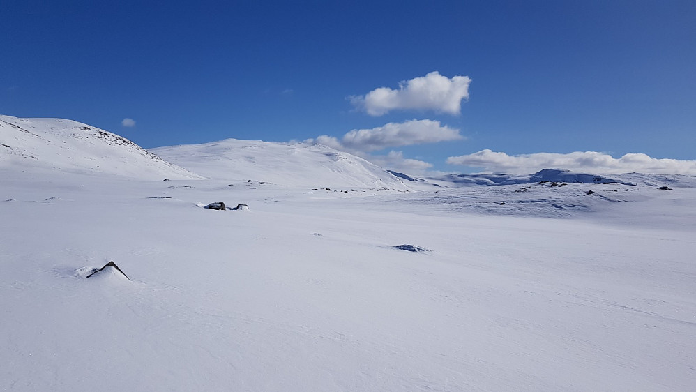 Veslenakken frå Steinbusjøen.