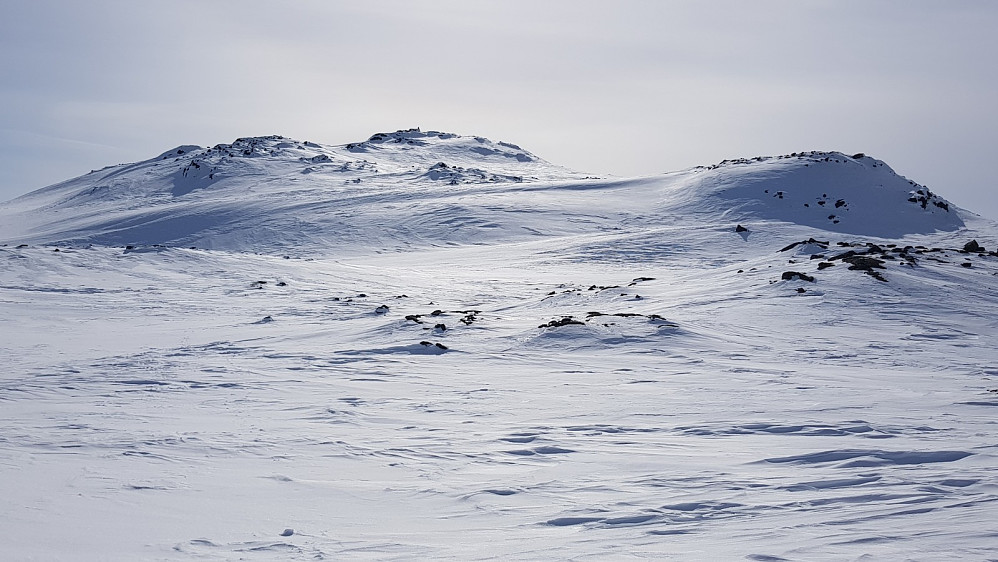 Nordaust for Skavlevatnet 1770 moh.