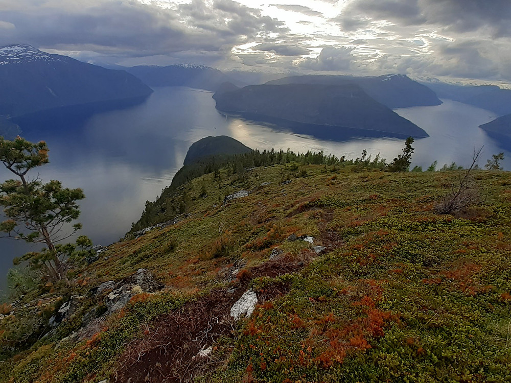 Utsikta nedover tek pusten frå ein. Sognefjorden, Lærdalsfjorden, Årdalsfjorden og Lusterfjorden møtast her.