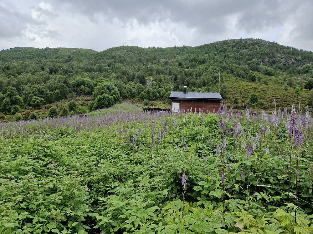 Heimre Ljøsndalen