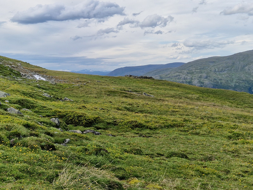 Bøastølen.