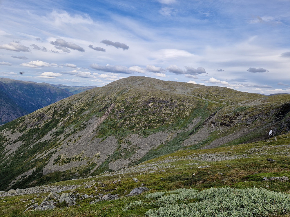 Frå Bøastølen mot Råken.