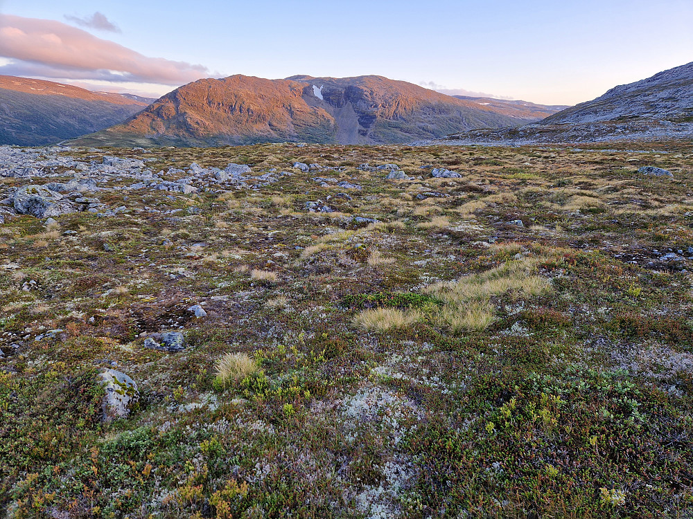 Terrenget på returen. Mot Vardahaug støl. Kaldeklettane.