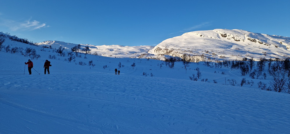 Ser oppatt der vi kom frå. Fjelltoppen er Hamlagrøhornet.