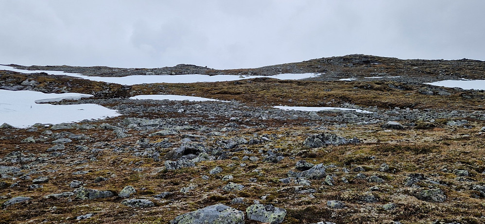 Oppover. Lite snø att.
