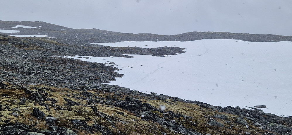 Ei snøbyge som vara i ca. 5 min.