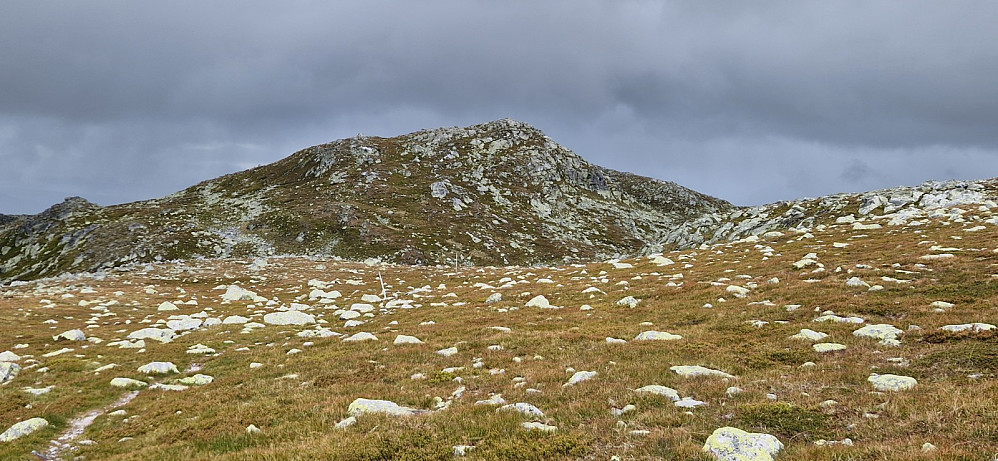 Gråfjell.
