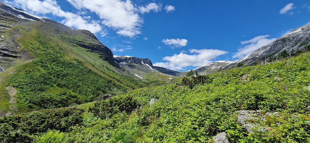 Fyrste blikk mot det vakraste i Jonadalen.