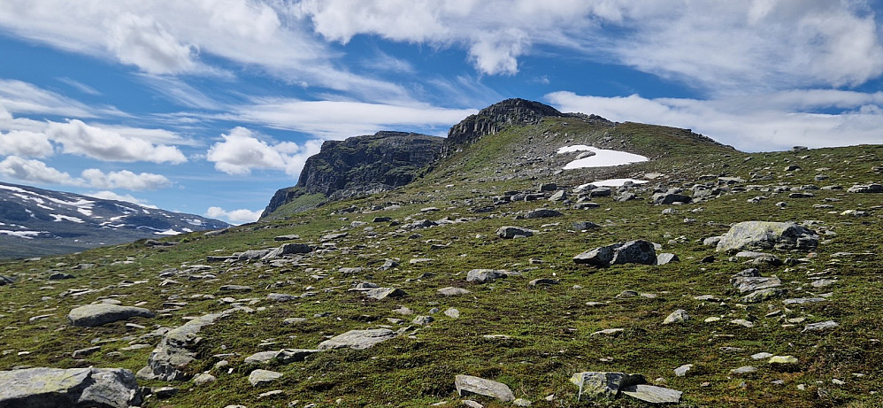 Saueholten nærast, og fjellet Øyre bakanfor.
