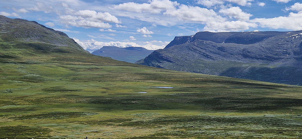 Vakkert(zooma)