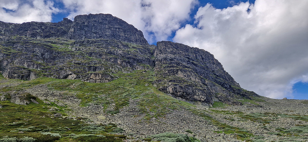 Austsida av fjella.