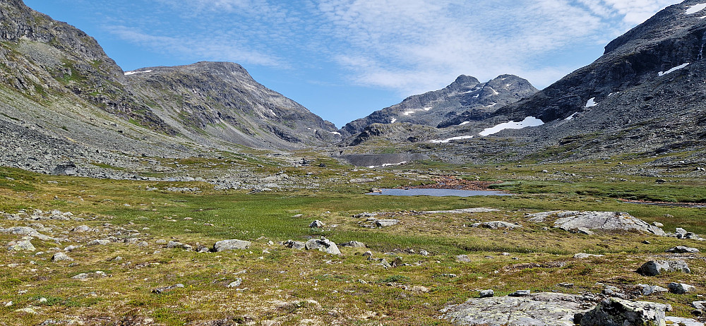 Inn Fleskenosdalen.
