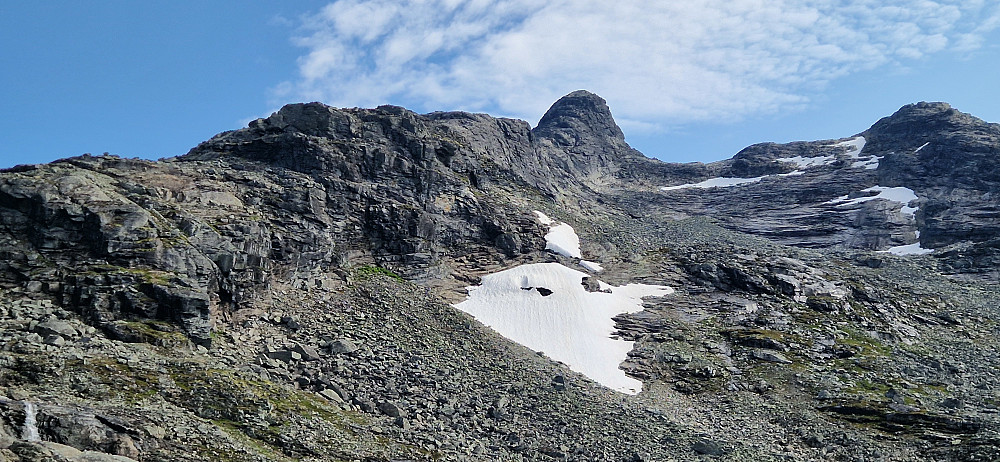 Snøggeknosi.