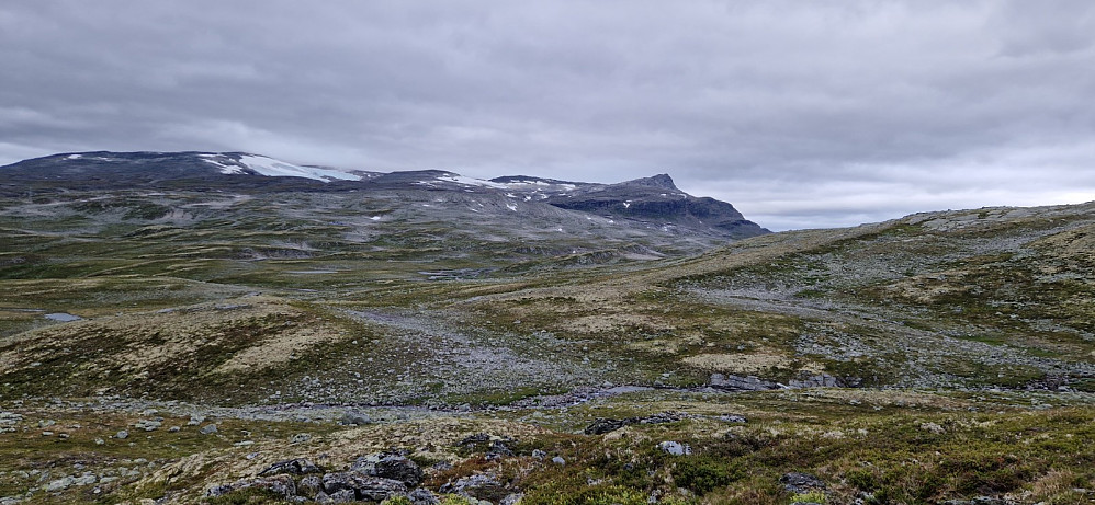 Tilbake i terrengen vi går frå. Hornsnipa fjellet til høgre.