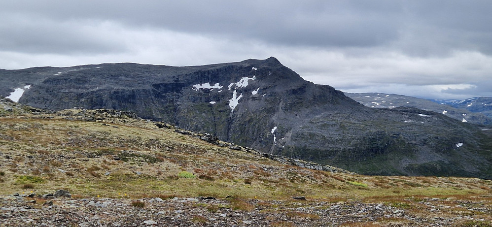 Toppen Torskarsnuten.
