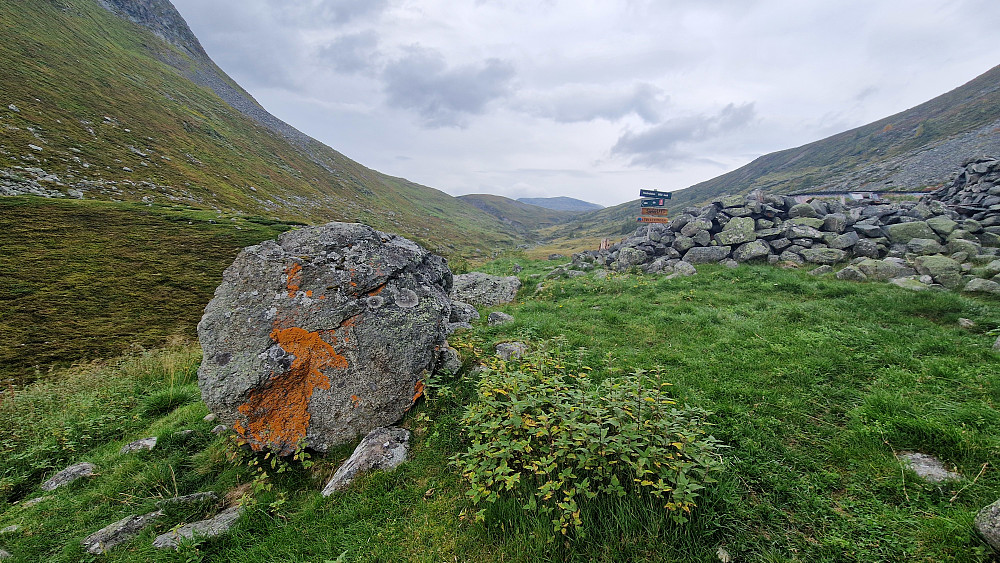 Frå Hodndalen.