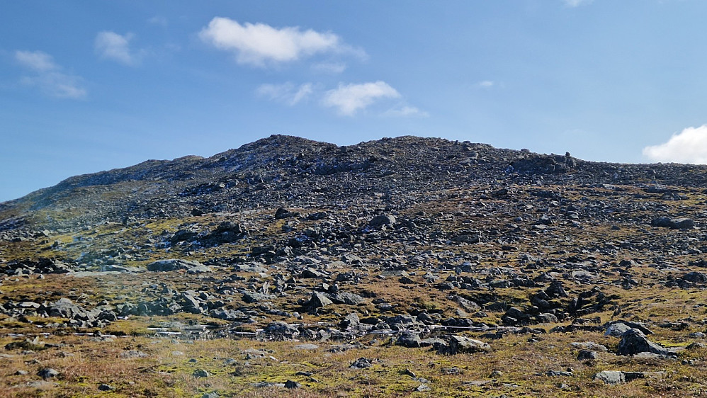 Drylleberget.