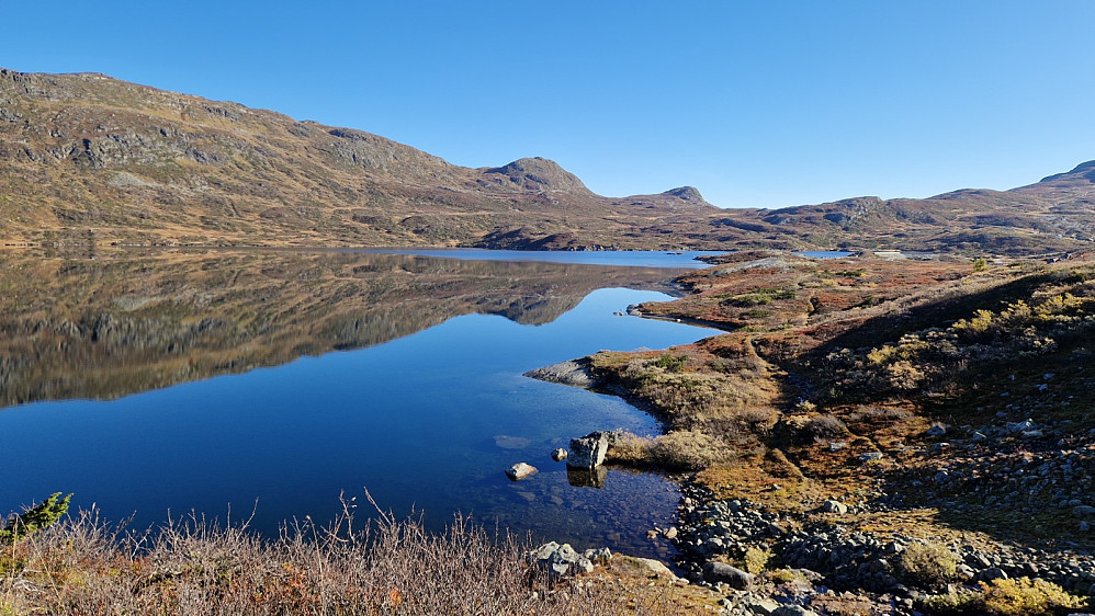 Ikkje eit vindpust ved Olefjorden.