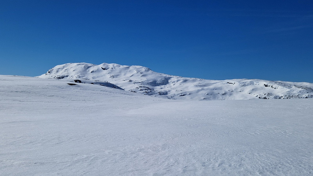 Fjellryggen Krågebergnosi.