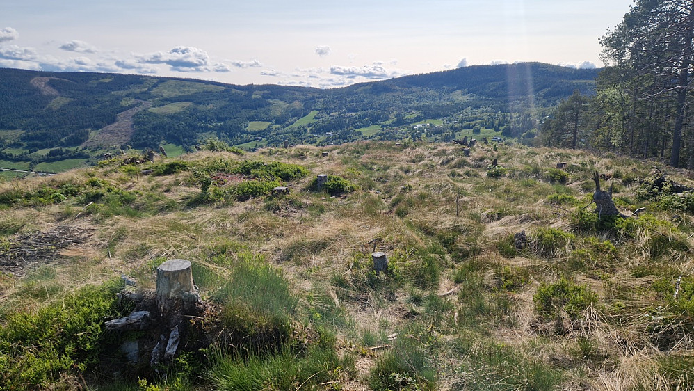 Frå toppen. Fjellet i horisonten er Kvithovd.