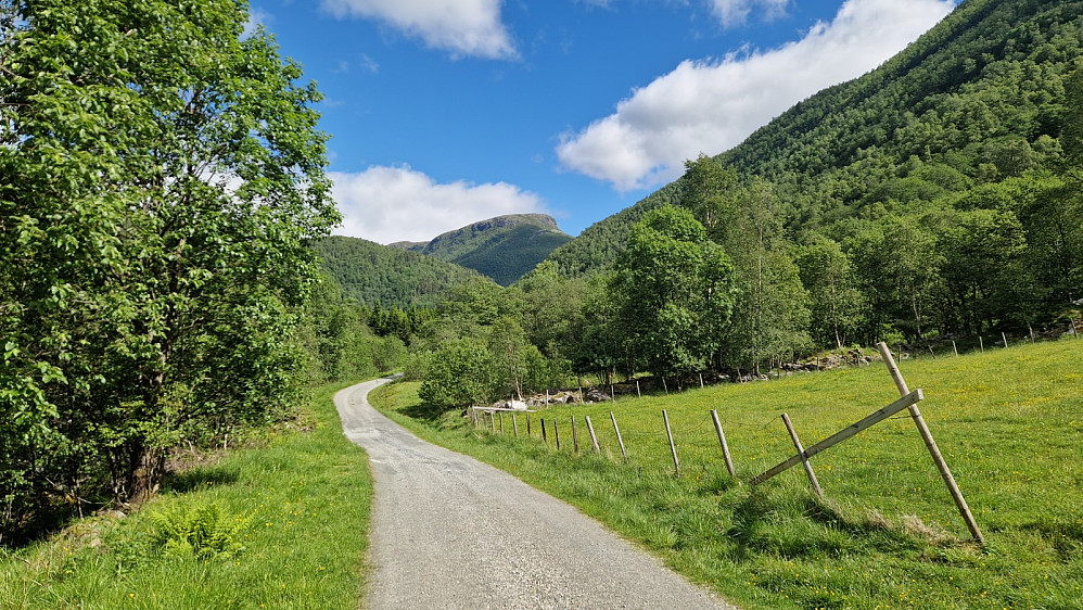 Horgi skimtast inn i dalen.