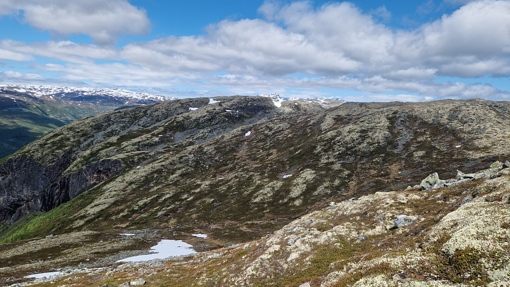 Følgde ryggen frå noko over det grøne feltet.