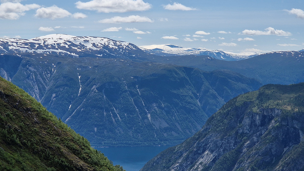 Zooma. Høganos og Blåskavlen.