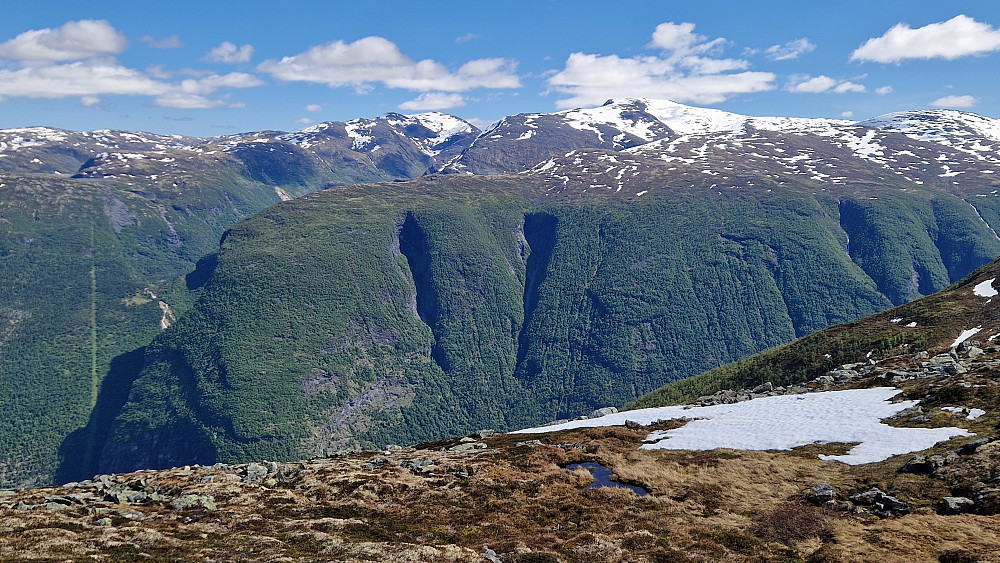 Losnosi.